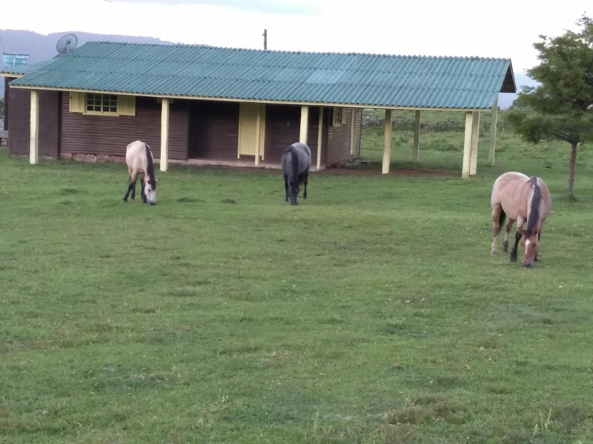 Pousada Fazenda Paim Sao Jose dos Ausentes Εξωτερικό φωτογραφία