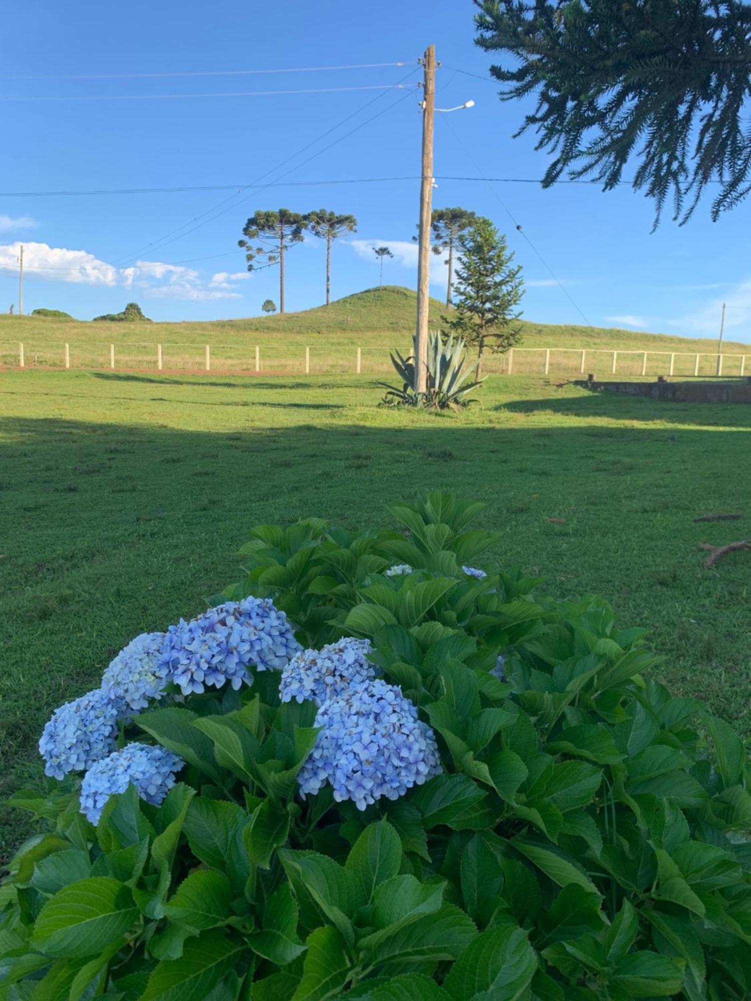Pousada Fazenda Paim Sao Jose dos Ausentes Εξωτερικό φωτογραφία