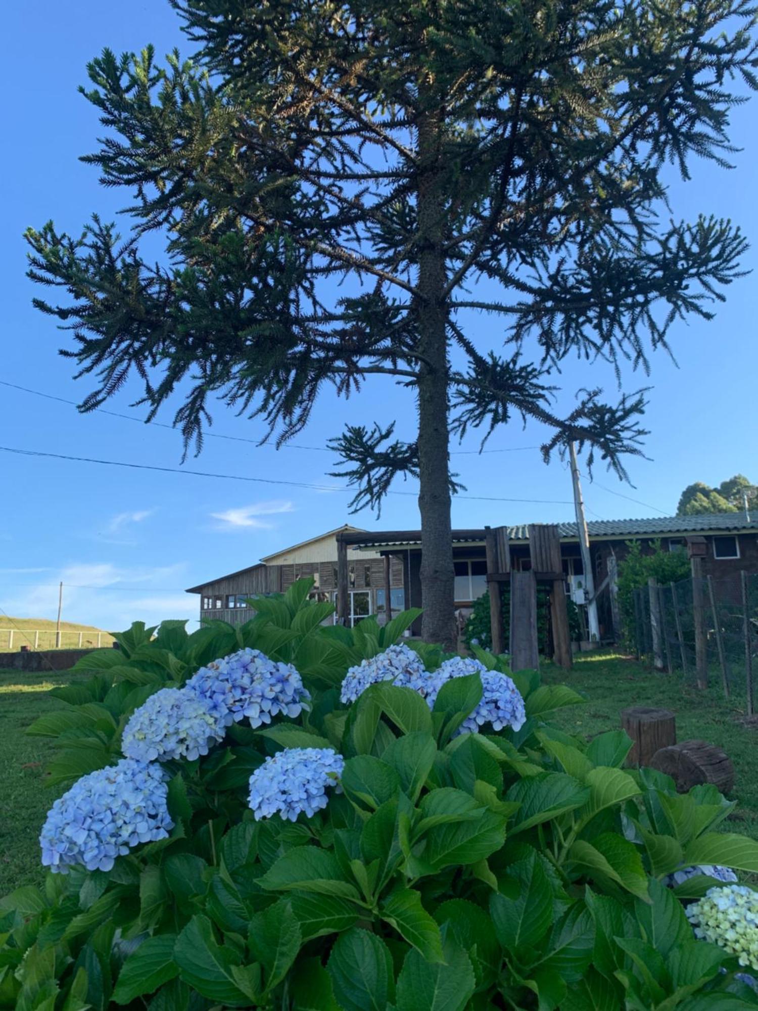 Pousada Fazenda Paim Sao Jose dos Ausentes Εξωτερικό φωτογραφία