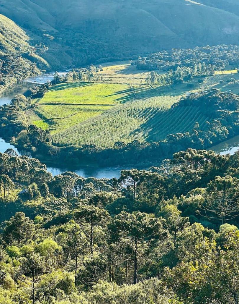 Pousada Fazenda Paim Sao Jose dos Ausentes Εξωτερικό φωτογραφία