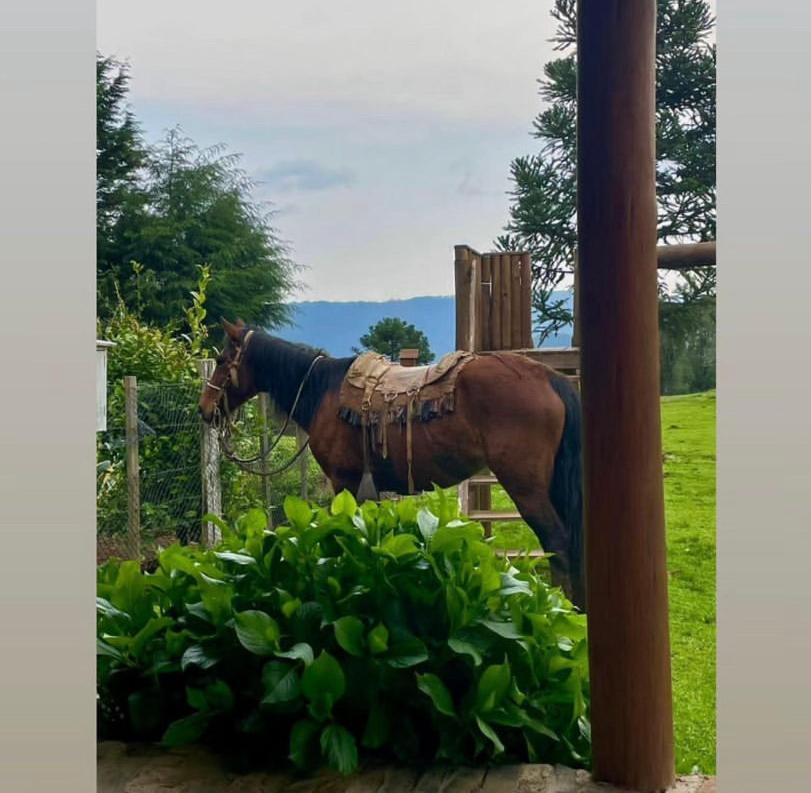 Pousada Fazenda Paim Sao Jose dos Ausentes Εξωτερικό φωτογραφία