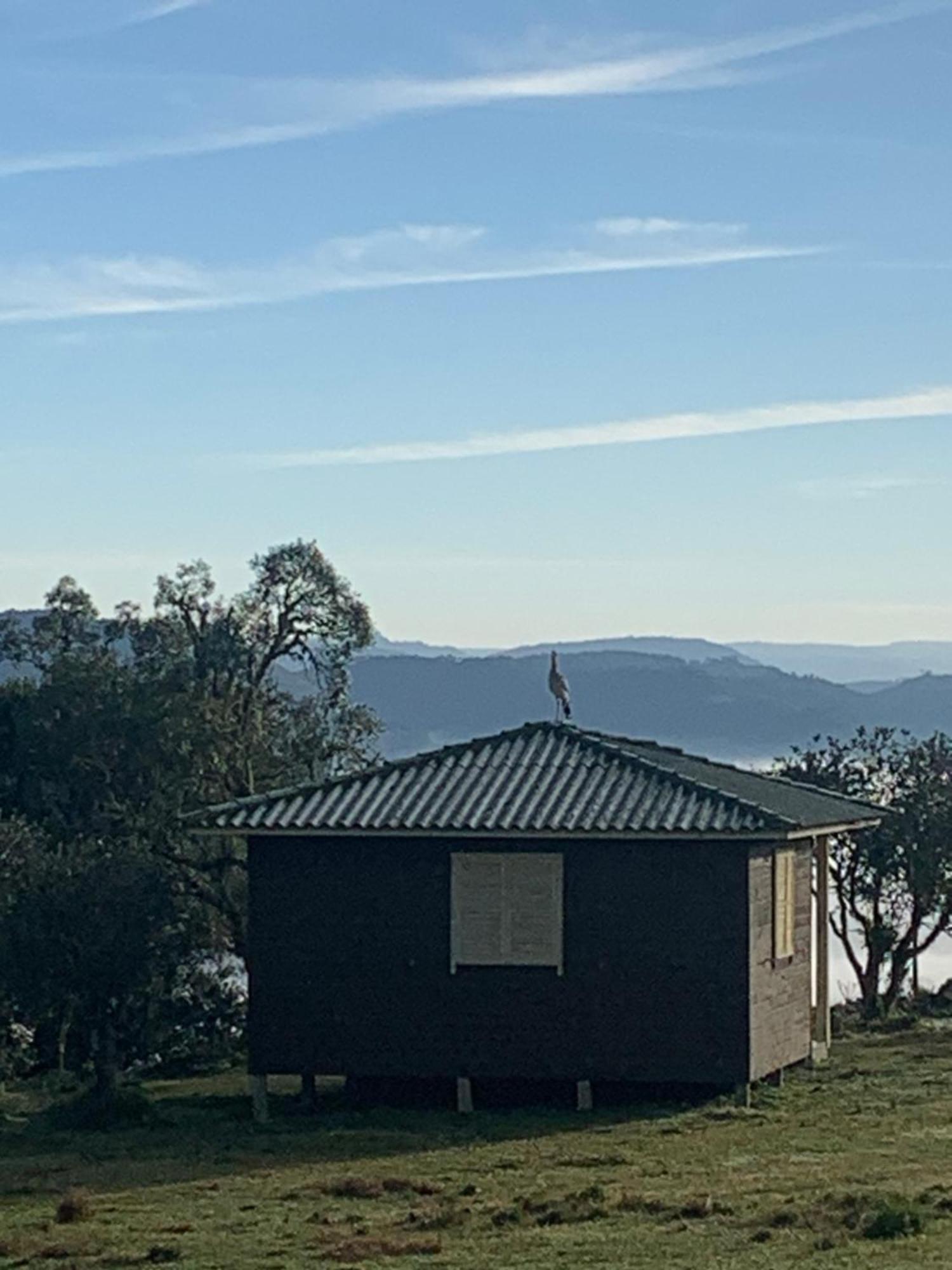 Pousada Fazenda Paim Sao Jose dos Ausentes Εξωτερικό φωτογραφία